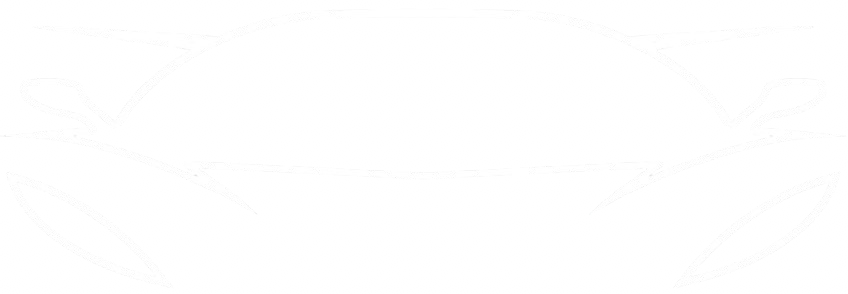 NeoCarDiecast